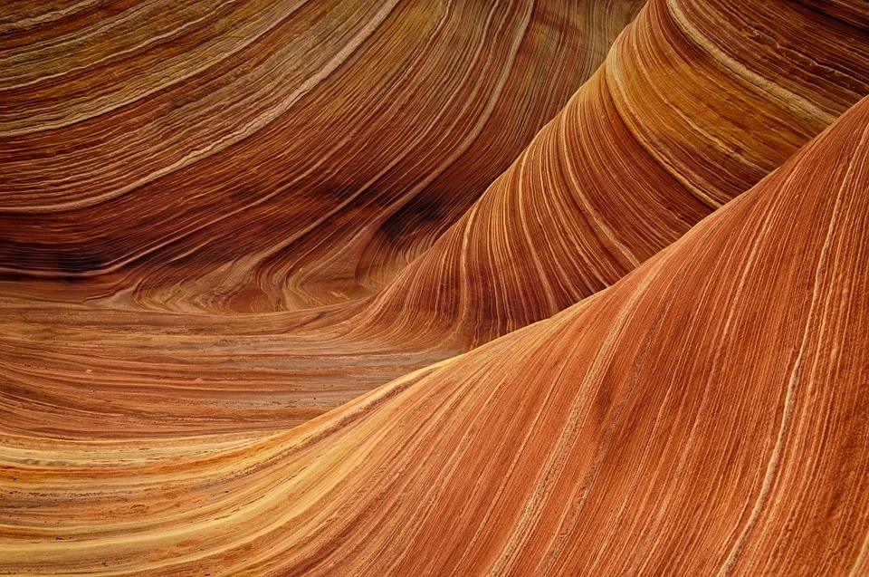 Natuurfoto 2