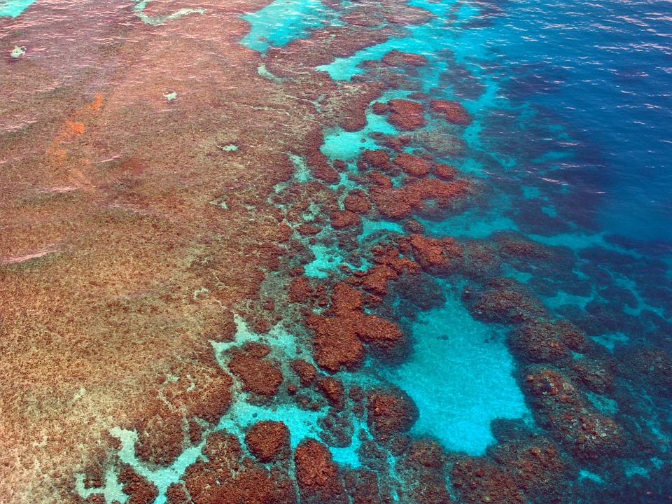 Natuurfoto 4